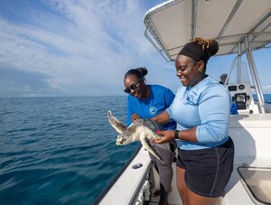 ATLANTIS PARADISE ISLAND, THE BAHAMAS COMMEMORATES WORLD OCEAN MONTH AND TWO DECADES OF MARINE CONSERVATION IMPACT