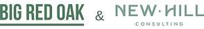 Big Red Oak and New Hill Consulting Launch Integrated Communications Service for the North American Nuclear Energy Sector