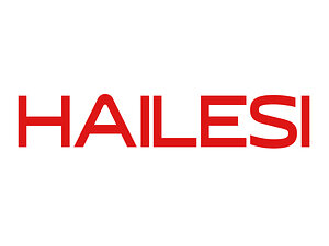 Ultra-Portable Large-Screen Companion for Nintendo Switch Gamers -- HAILESI S135 Portable Monitor | 500 Nits Peak Brightness &amp; Crisp 2.2K Resolution, a Top-Tier Pick Worth Considering