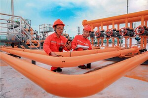 Sinopec's Ziyang Dongfeng Shale Gas Field Reports Proven Reserve of 235.687 Billion Cubic Meters